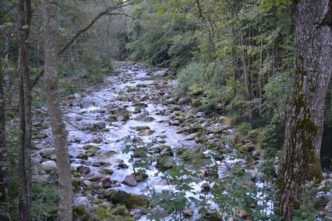 Torrente Pesio